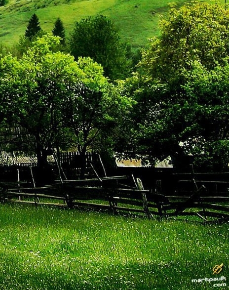 粉象生活旅游大巴