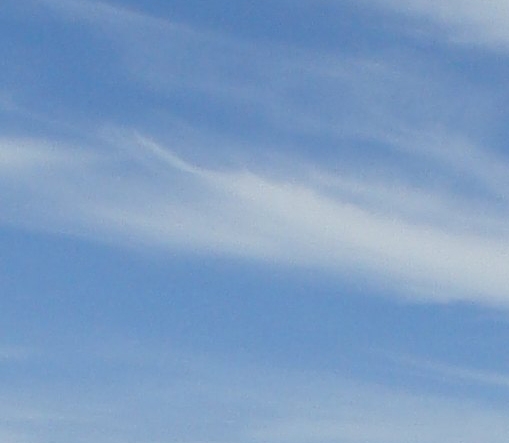 粉象生活晒收入是不是真的