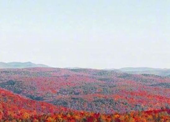 粉象生活推广文案