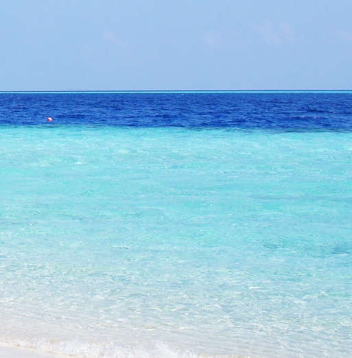 粉象啤酒进口商