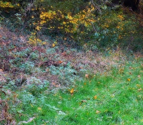 粉象生活零投入