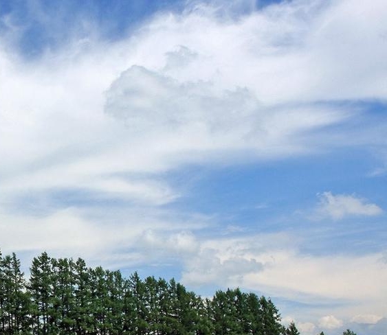 未来集市和云集的区别