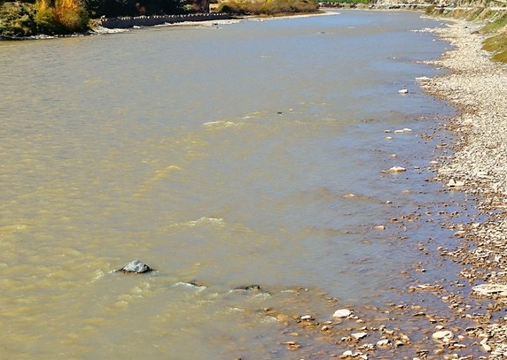 粉象生活返利冻结时间