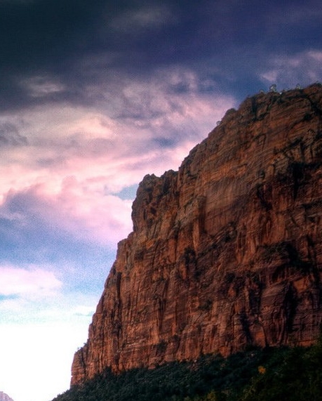 粉象生活日推广50人