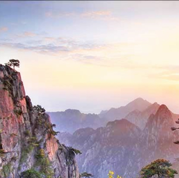 粉象生活等级规则