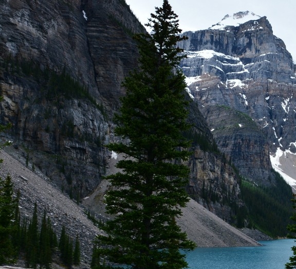 哪里下载粉象生活