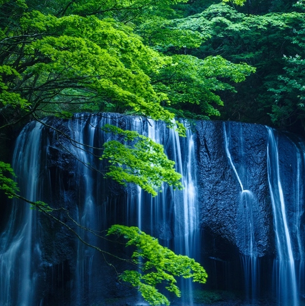 如何评价粉象生活