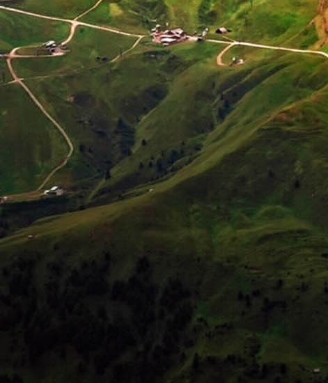 蓝象啤酒是哪里的品牌