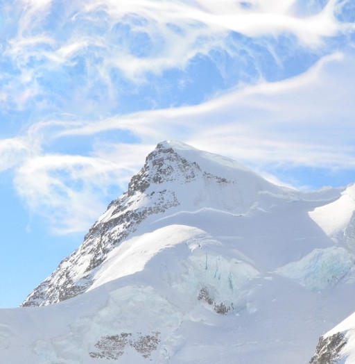 粉象生活推广技巧