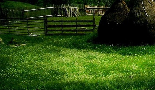 粉象生活为什么要20个合伙人