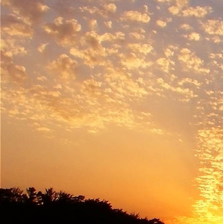 栗子姐粉象生活