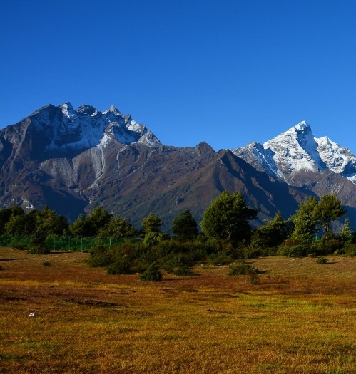 怎样在粉象生活上兼职