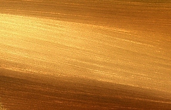 粉象生活怎么赚钱