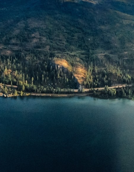 粉象生活下载app