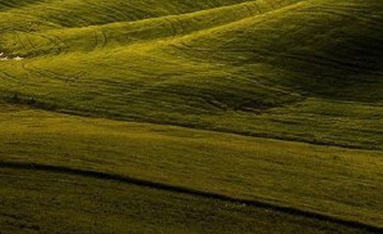 粉象生活新用户怎么做