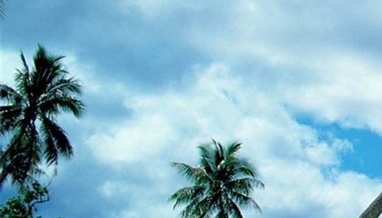 安徽粉象生活用的人多不多