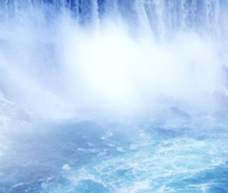 粉象生活能赚到钱吗