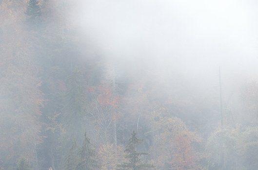 下载粉象生活app