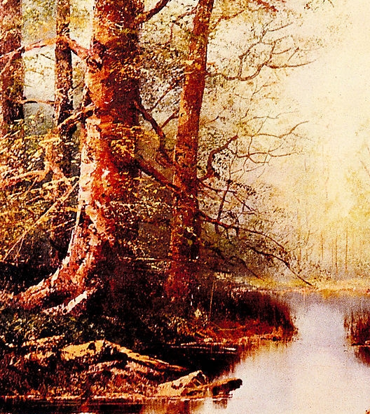 粉象生活推广规则