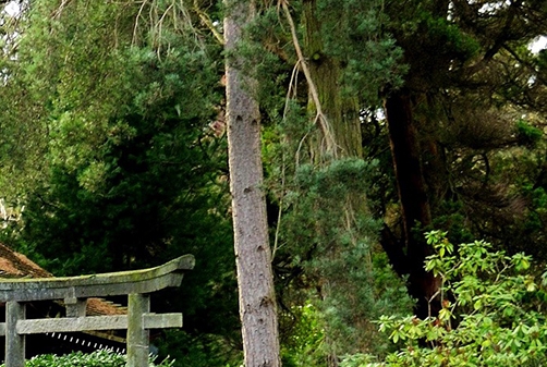 同城生活平台如何运营推广