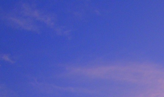 惠州粉象生活加盟代理