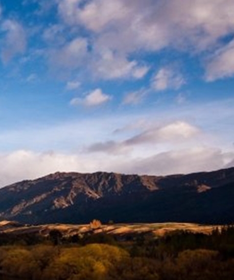 粉象生活在哪里填写邀请码