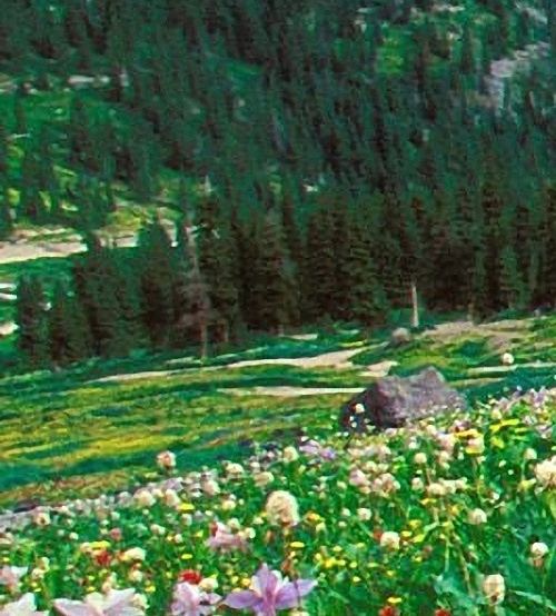 粉象生活佣金太低