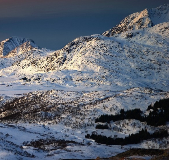 粉象生活VIP积分