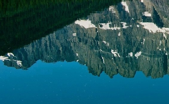 粉象生活合作品牌粉象生活