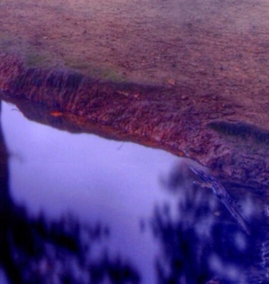 粉象生活能赚到钱吗