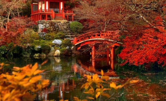 下载粉象生活有风险吗?