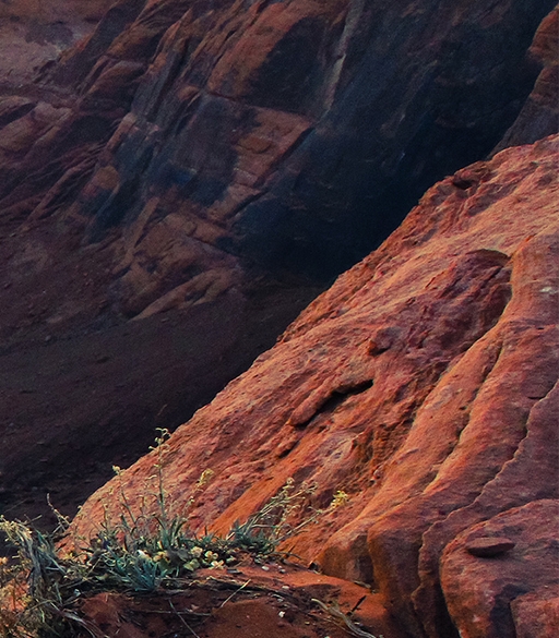 粉象生活邀请人