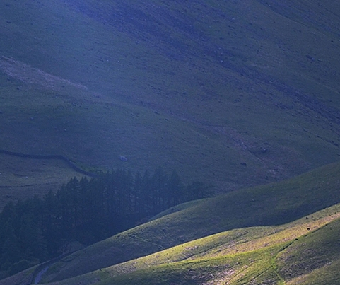 粉象生活升级vip会员1年到期