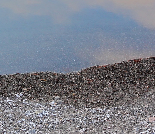 粉象生活为什么用到快手
