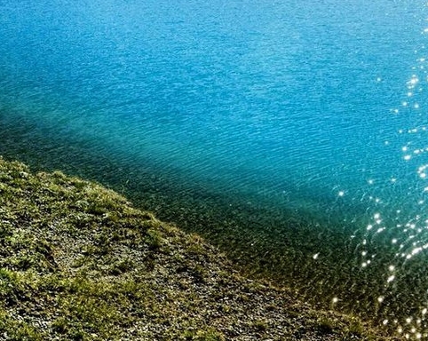 粉象生活下载app