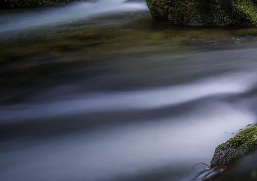 粉象生活每个月交多少钱