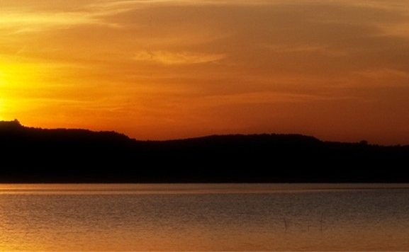 绍兴粉象生活发展这么快