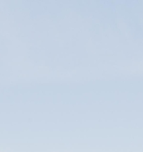 粉象生活免费拿