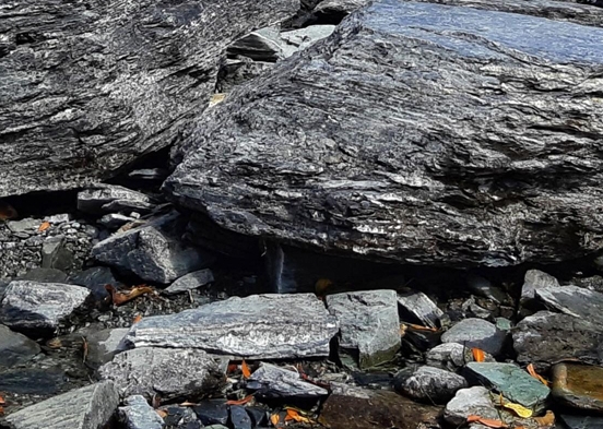 粉象生活可以赚钱吗