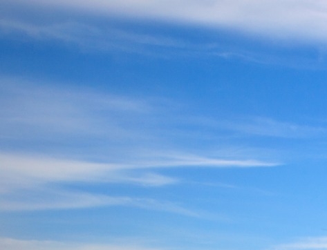 粉象生活老版本