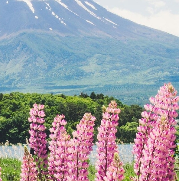 粉象生活和快手哪个好