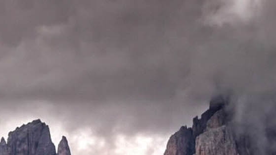 最近很火的粉象生活可靠吗