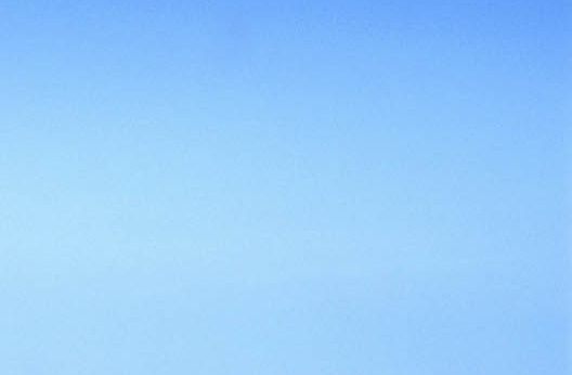 粉象生活里面的好友