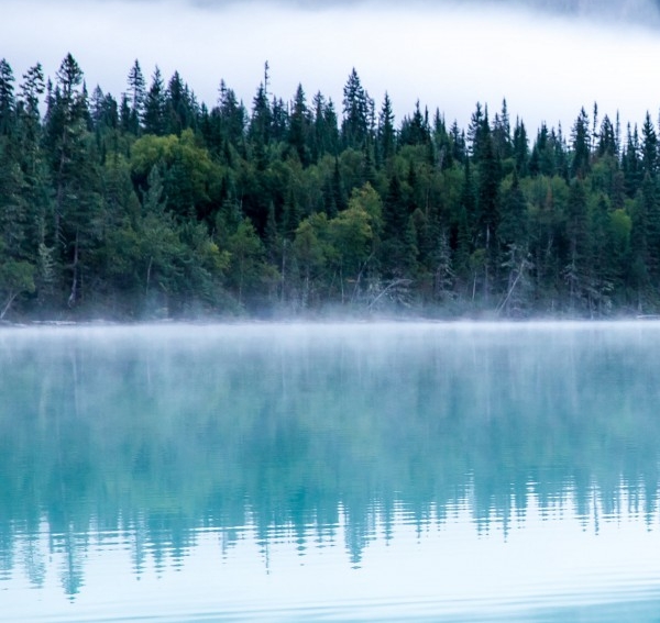 粉象生活加盟代理