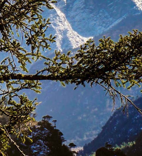 粉象生活怎么赚钱的