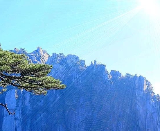 粉象生活是什么?