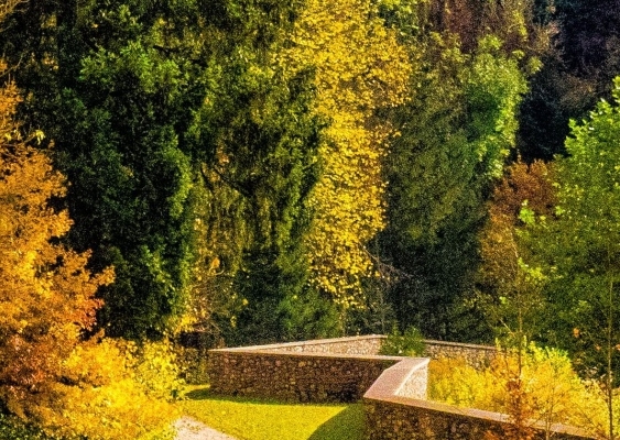 粉象生活制度图片