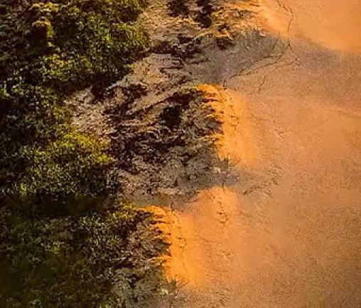 粉象生活在哪里拿佣金