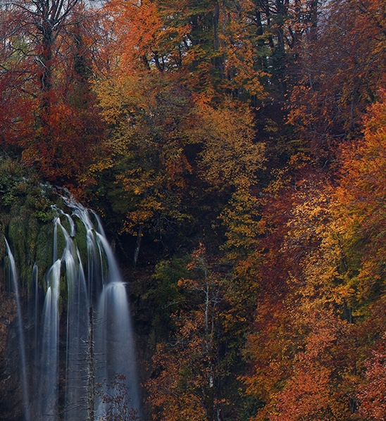 粉象生活的返利怎么弄