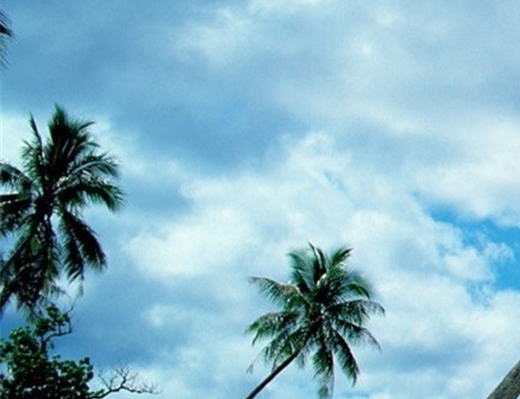 粉象生活怎么添加亲情号